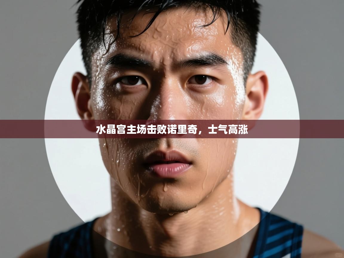 水晶宫主场击败诺里奇，士气高涨  第1张