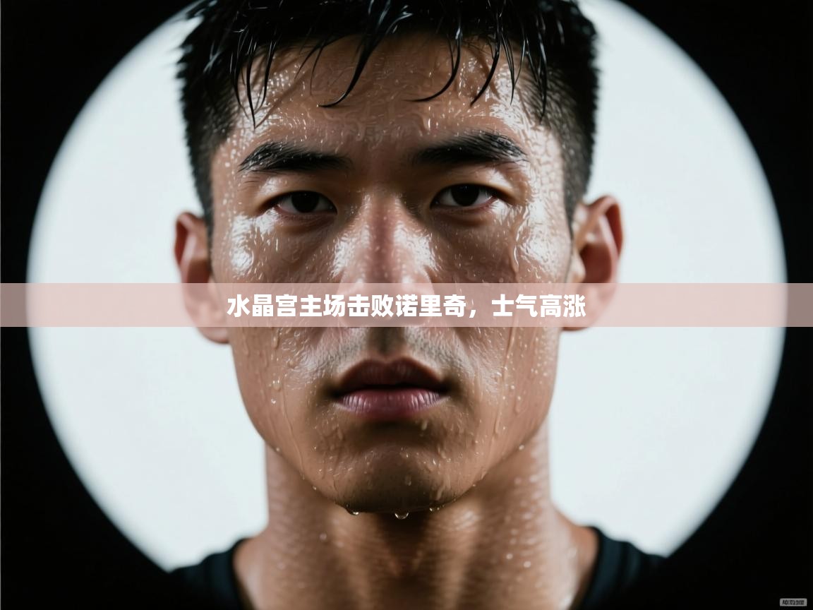 水晶宫主场击败诺里奇，士气高涨  第2张