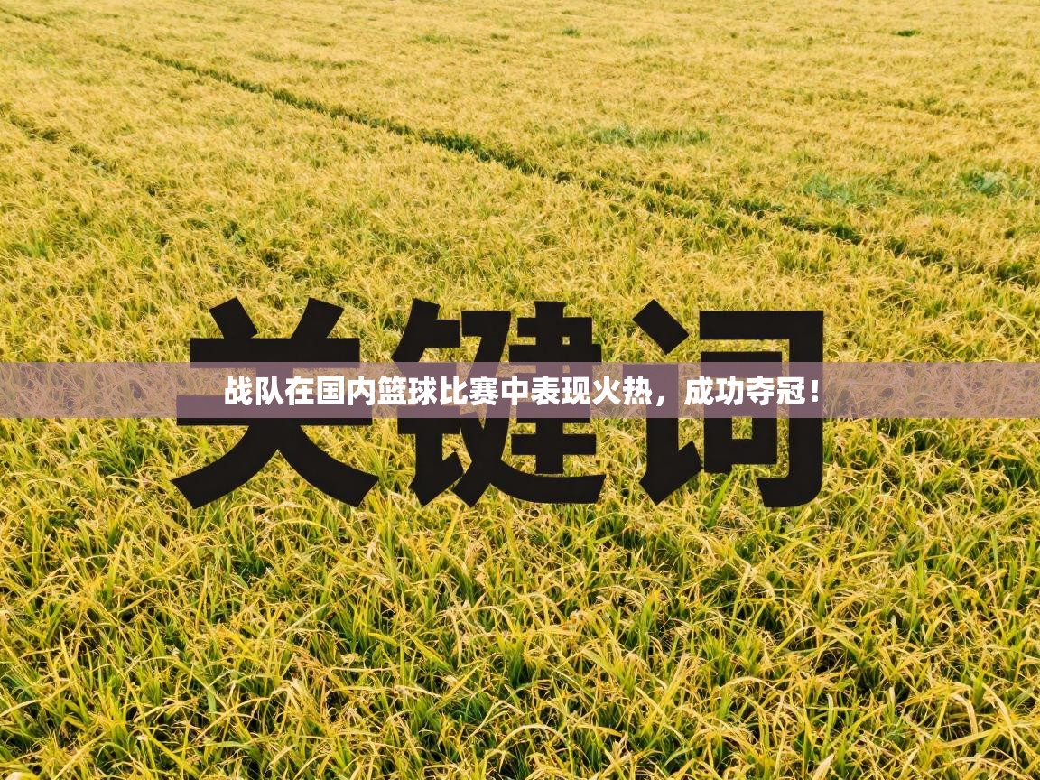 战队在国内篮球比赛中表现火热，成功夺冠！