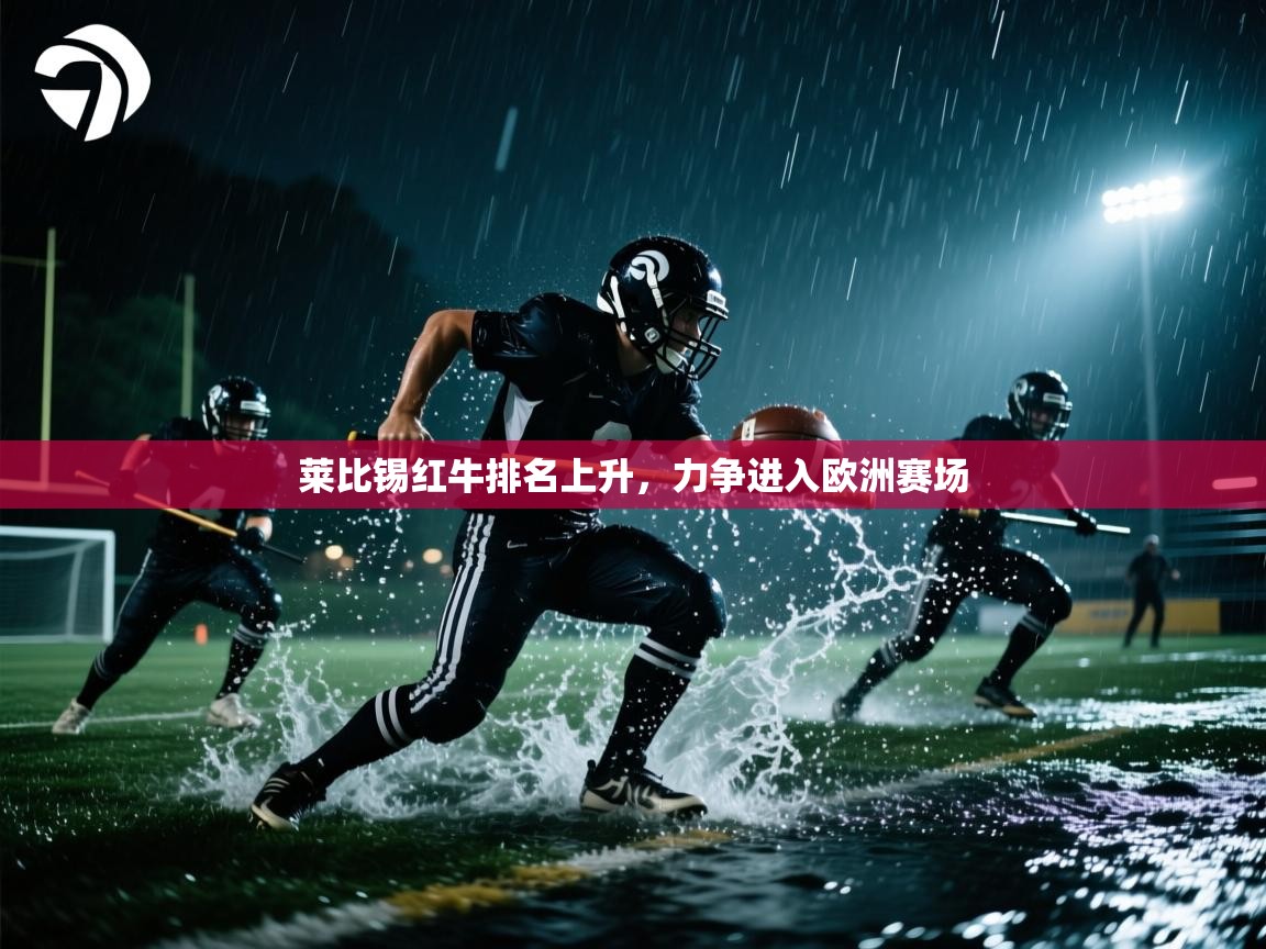 莱比锡红牛排名上升，力争进入欧洲赛场  第1张