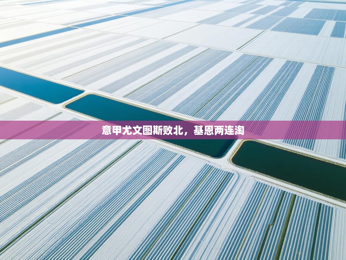 意甲尤文图斯败北，基恩两连淘  第1张