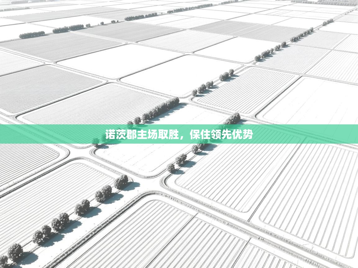 诺茨郡主场取胜，保住领先优势  第1张