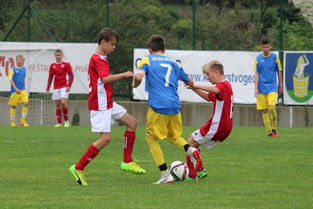 半岛体育官网-帕尔梅拉斯新援首秀引期待，世俱杯表现备受关注